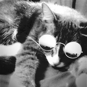 Meet your Posher, Kathleen